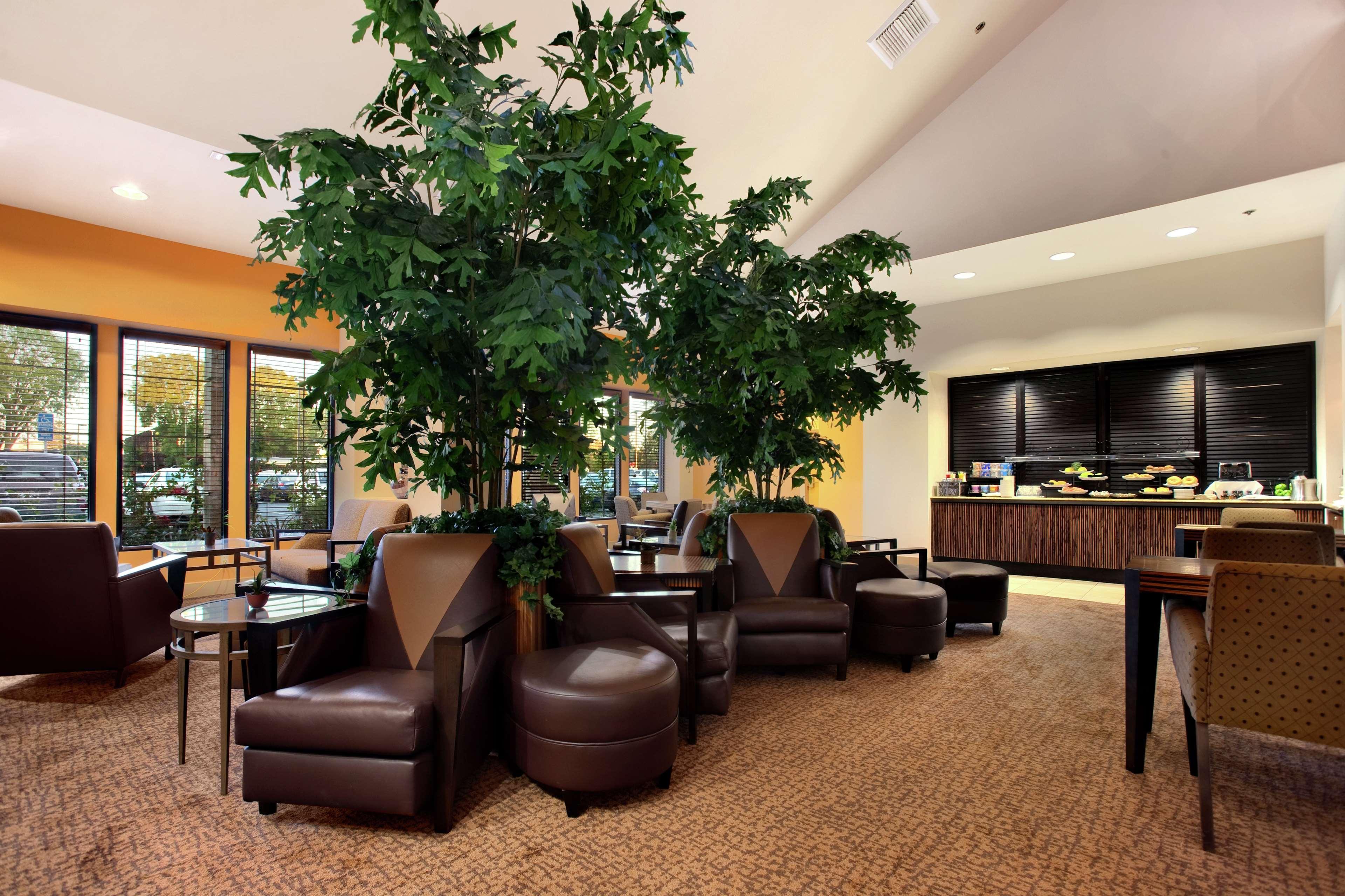 Hilton Stockton Hotel Dalaman gambar